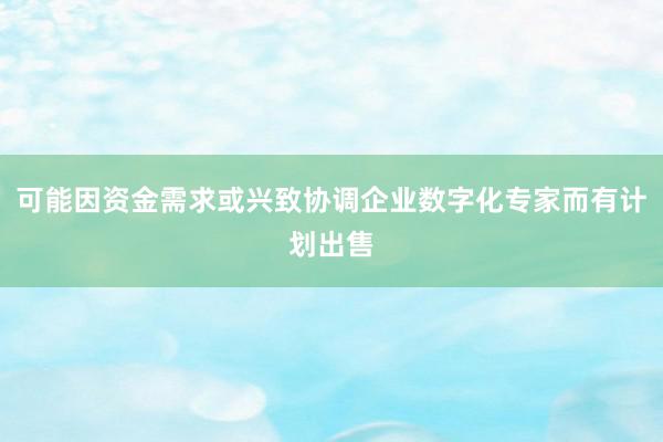 可能因资金需求或兴致协调企业数字化专家而有计划出售