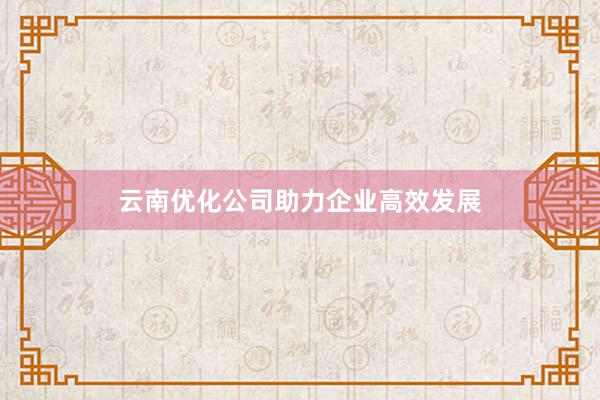 云南优化公司助力企业高效发展