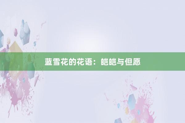 蓝雪花的花语：皑皑与但愿