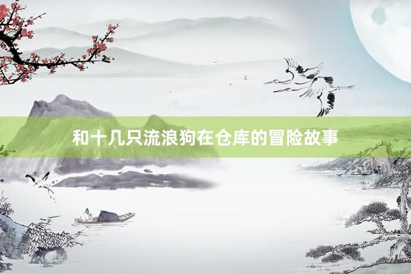 和十几只流浪狗在仓库的冒险故事