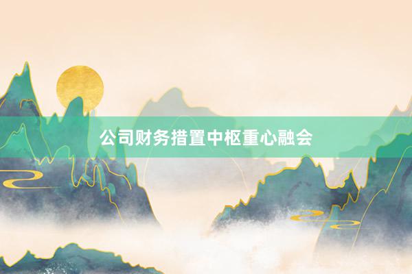 公司财务措置中枢重心融会